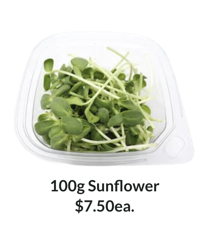 100g Sunflower Microgreens punnet